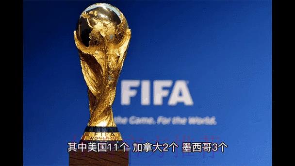 2026世界杯最新赛事比分动态